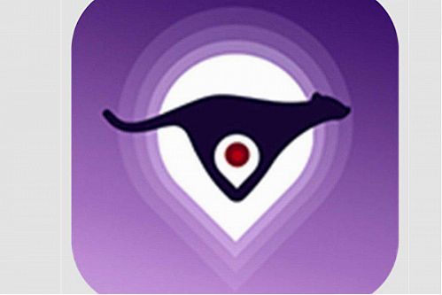 تخفیف اپلیکیشن چیتکس برای مشتریان شهر مشهد بانک ایران زمین